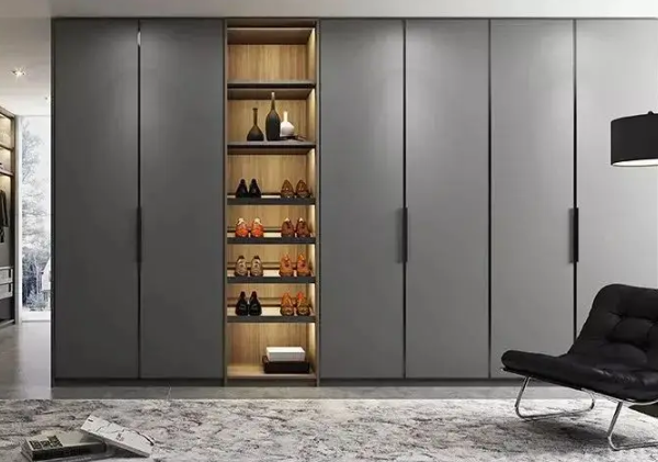 什么樣的衣柜最實(shí)用(現(xiàn)在的衣柜是什么樣的)