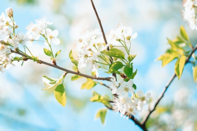 對(duì)于墻面裝修，你了解多少呢？